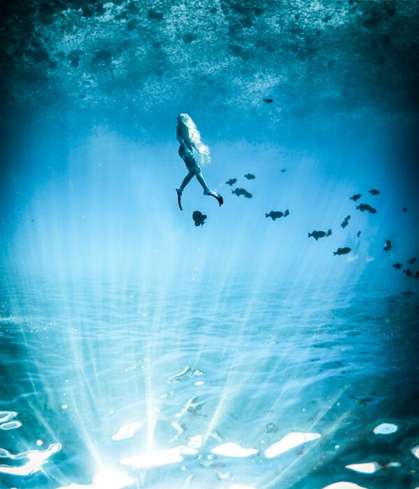 Socotra Diving Tour