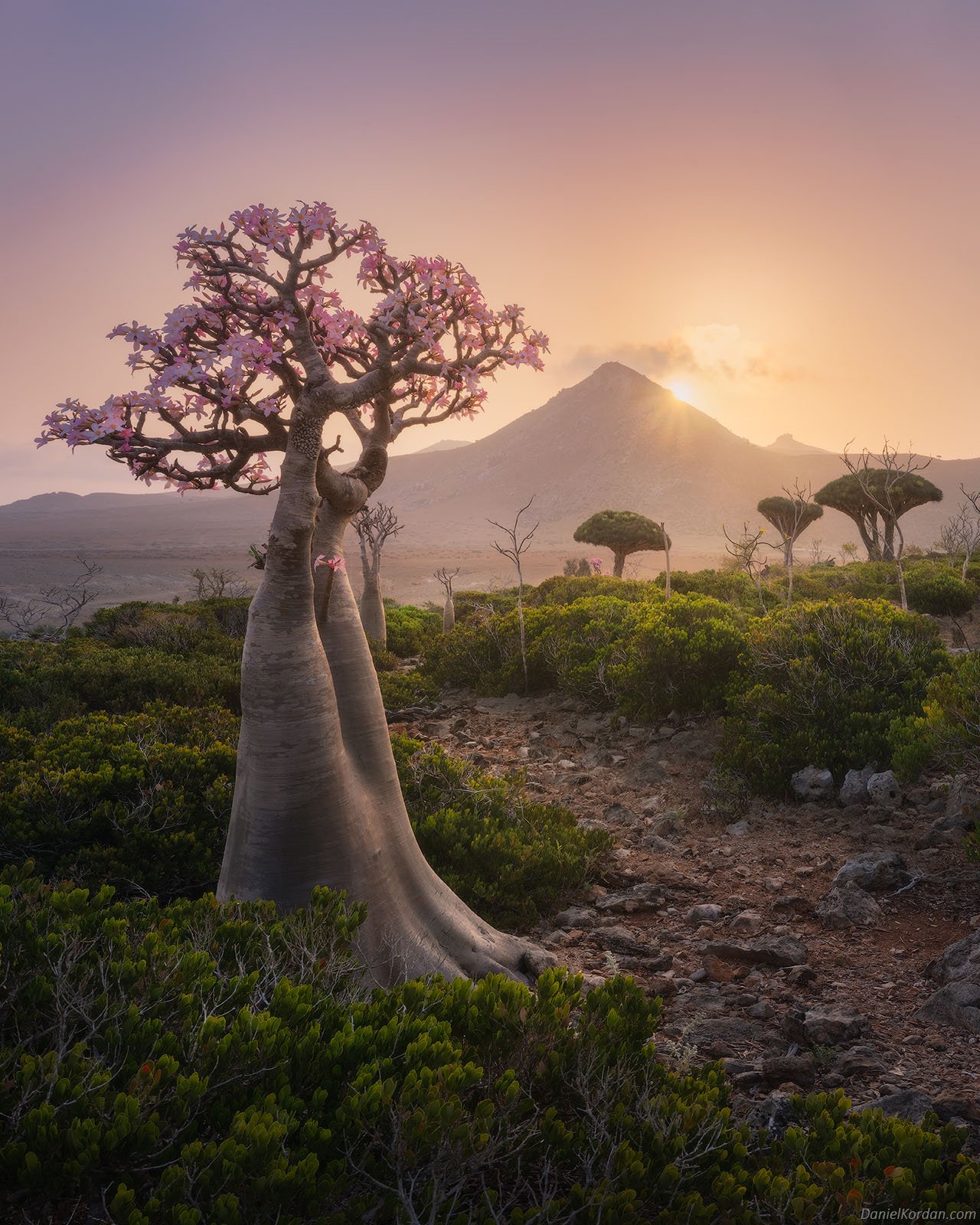 socotra travel guide