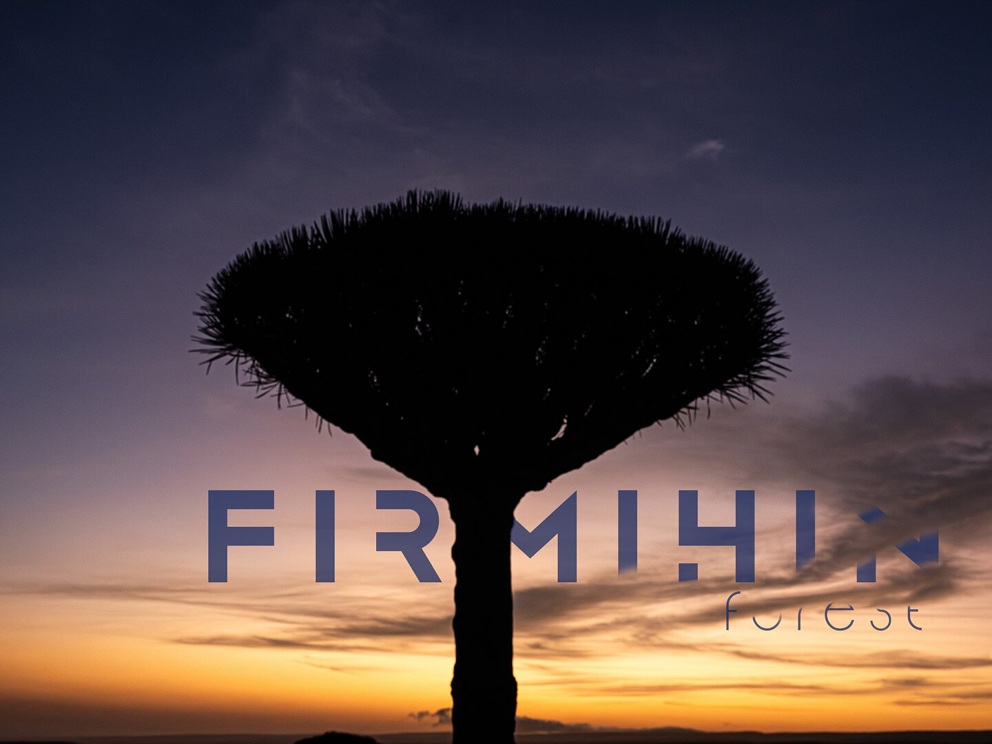 Family-friendly Socotra tours – nature, relaxation, and discovery in Socotra’s breathtaking landscapes.