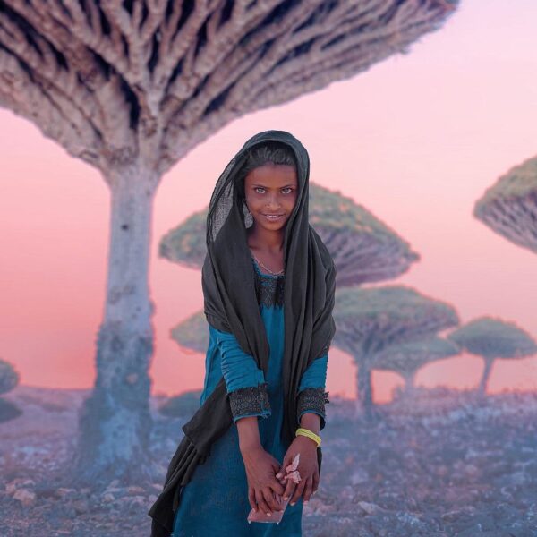 Socotra Island Tour