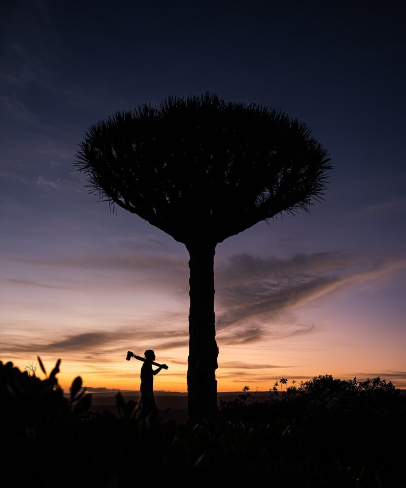 Top Socotra Trips