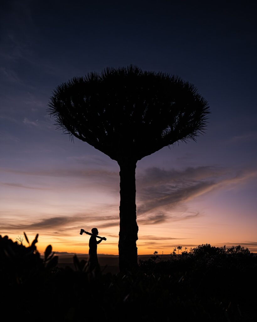 Top Socotra Trips