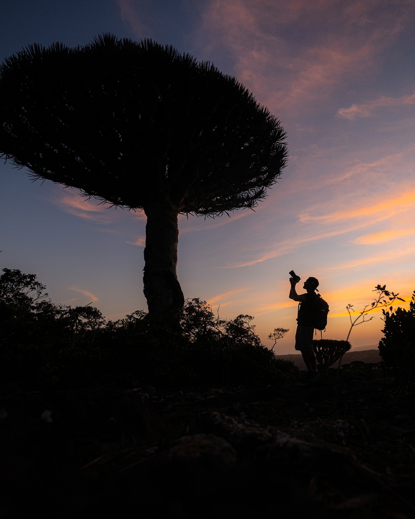 eco-travel-socotra